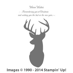 2016.5.20 Remembering Christmas Stamp Set
